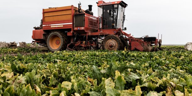 Présentation de l'outil "AMAROK e-SANTE AGRI"