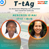 t-tag larisa