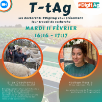 t tags