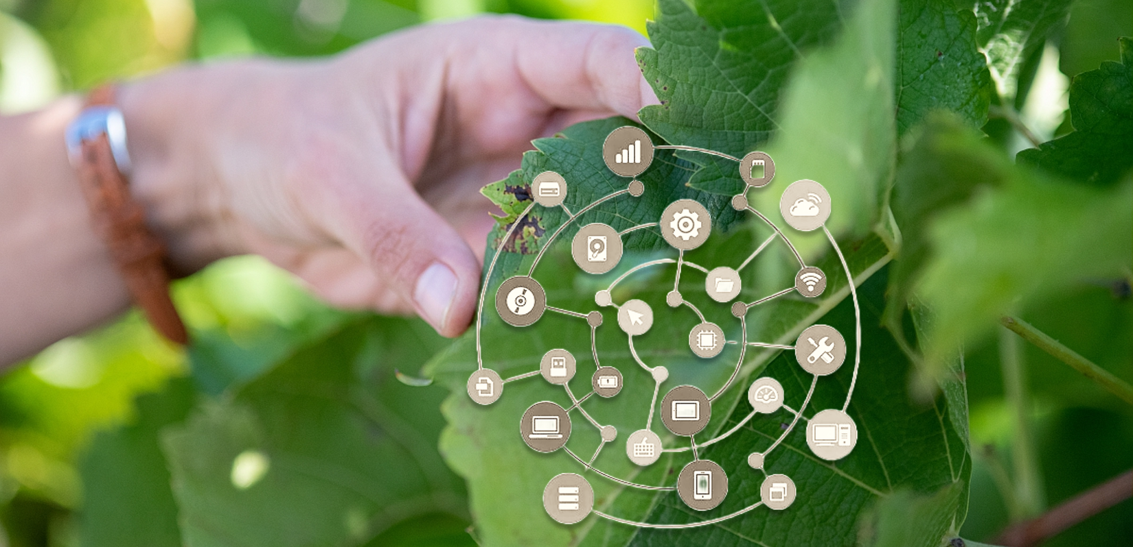 AID MAAP –Agroécologie et numérique